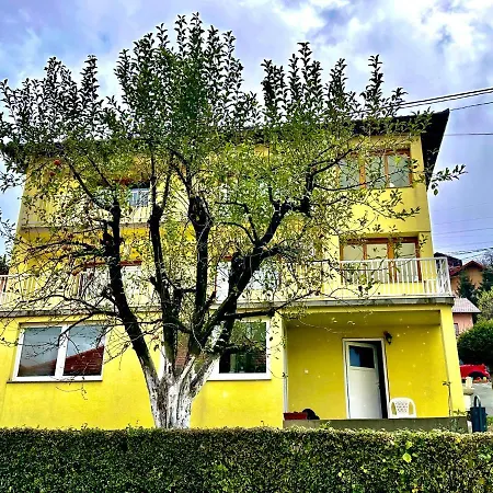 Bloom House